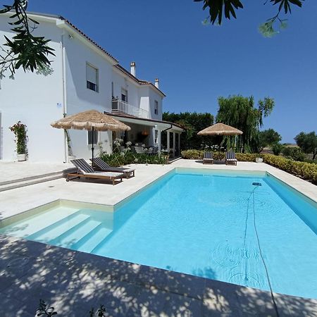 Tenuta Viale Degli Ulivi San Martino in Pensilis ภายนอก รูปภาพ