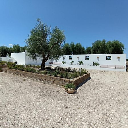 Tenuta Viale Degli Ulivi San Martino in Pensilis ภายนอก รูปภาพ