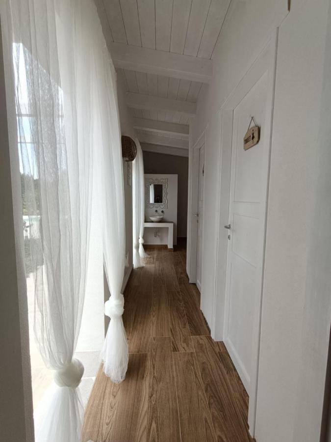 Tenuta Viale Degli Ulivi San Martino in Pensilis ภายนอก รูปภาพ