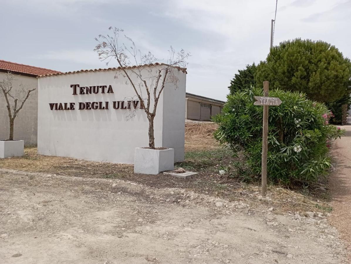 Tenuta Viale Degli Ulivi San Martino in Pensilis ภายนอก รูปภาพ