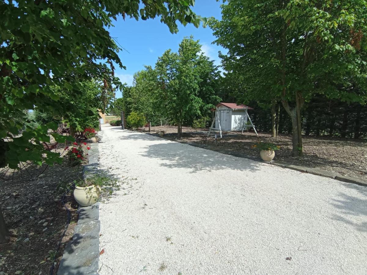 Tenuta Viale Degli Ulivi San Martino in Pensilis ภายนอก รูปภาพ