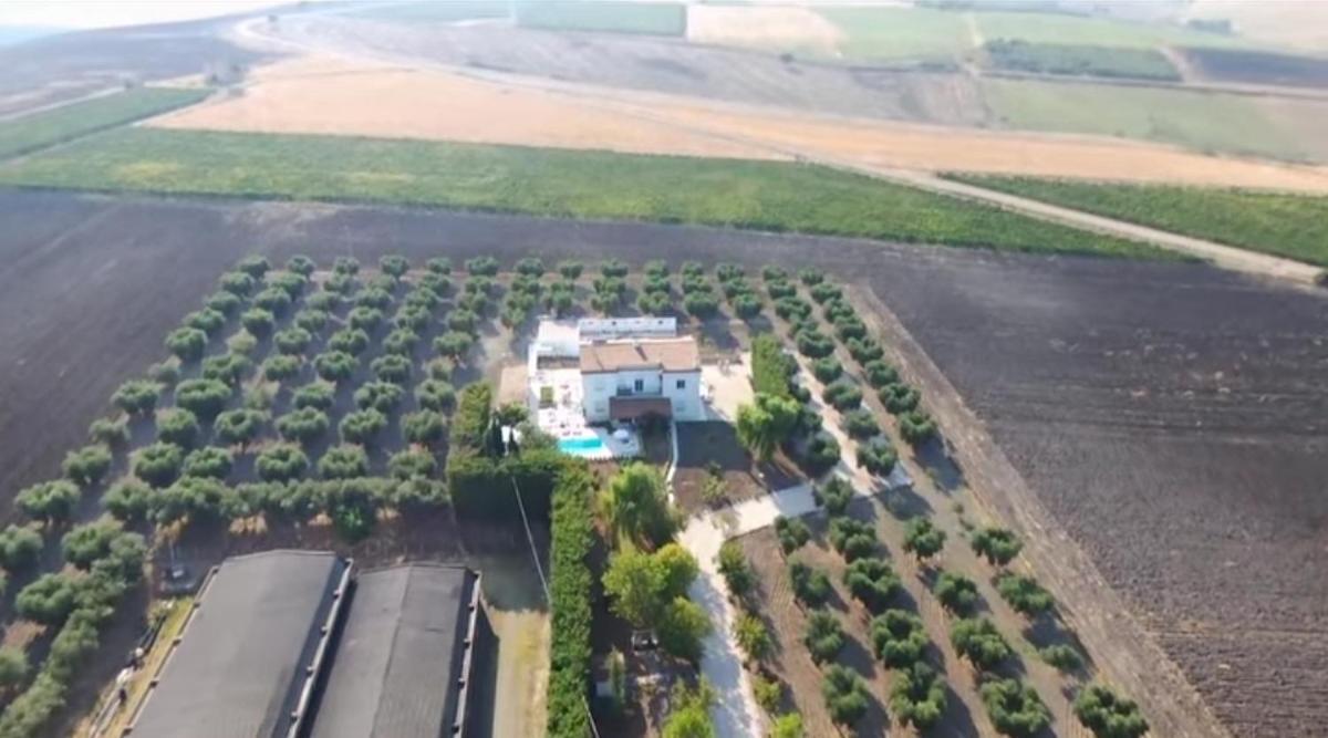 Tenuta Viale Degli Ulivi San Martino in Pensilis ภายนอก รูปภาพ