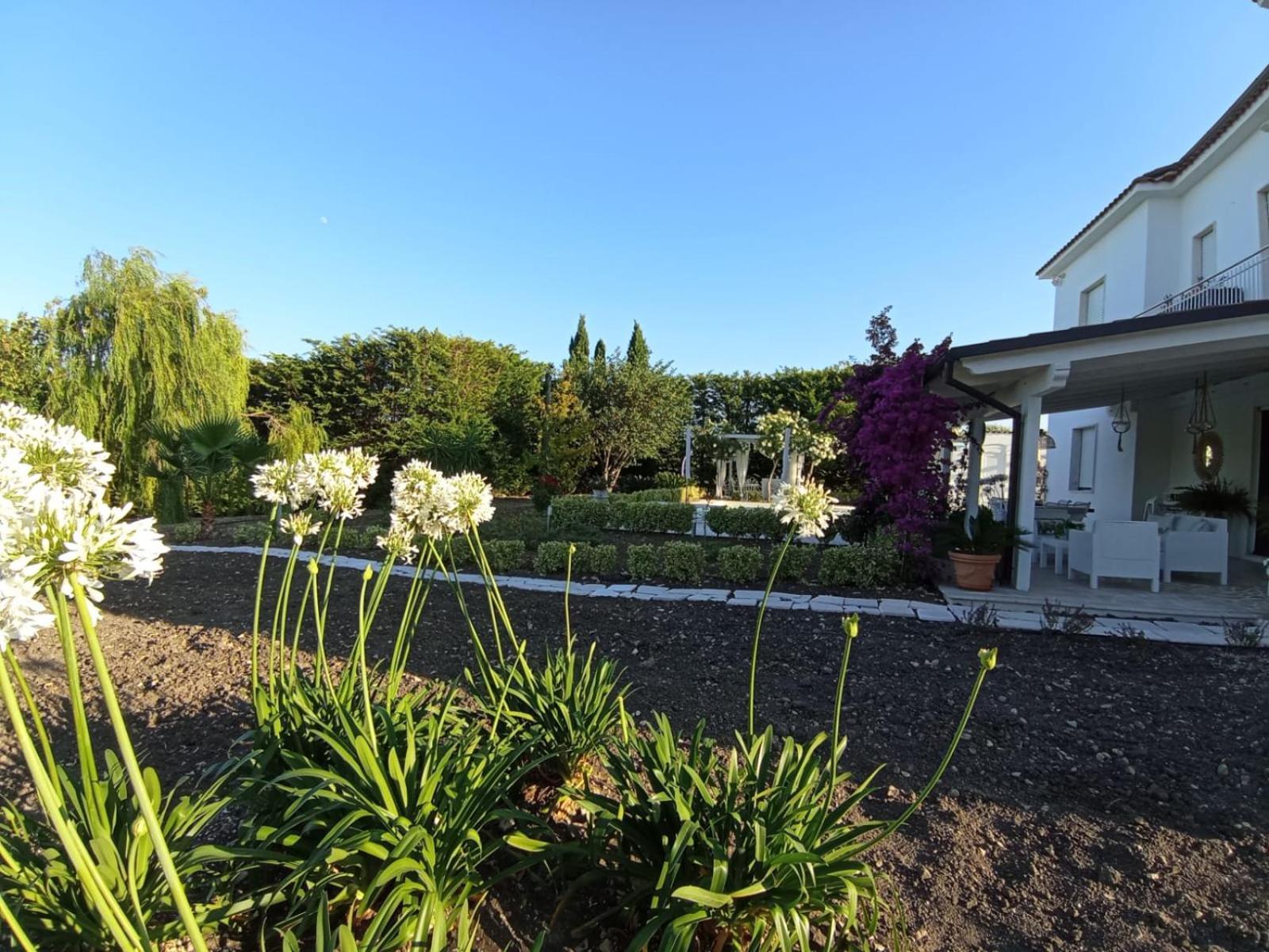 Tenuta Viale Degli Ulivi San Martino in Pensilis ภายนอก รูปภาพ