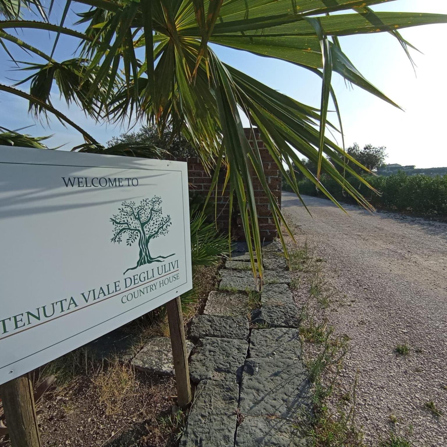 Tenuta Viale Degli Ulivi San Martino in Pensilis ภายนอก รูปภาพ