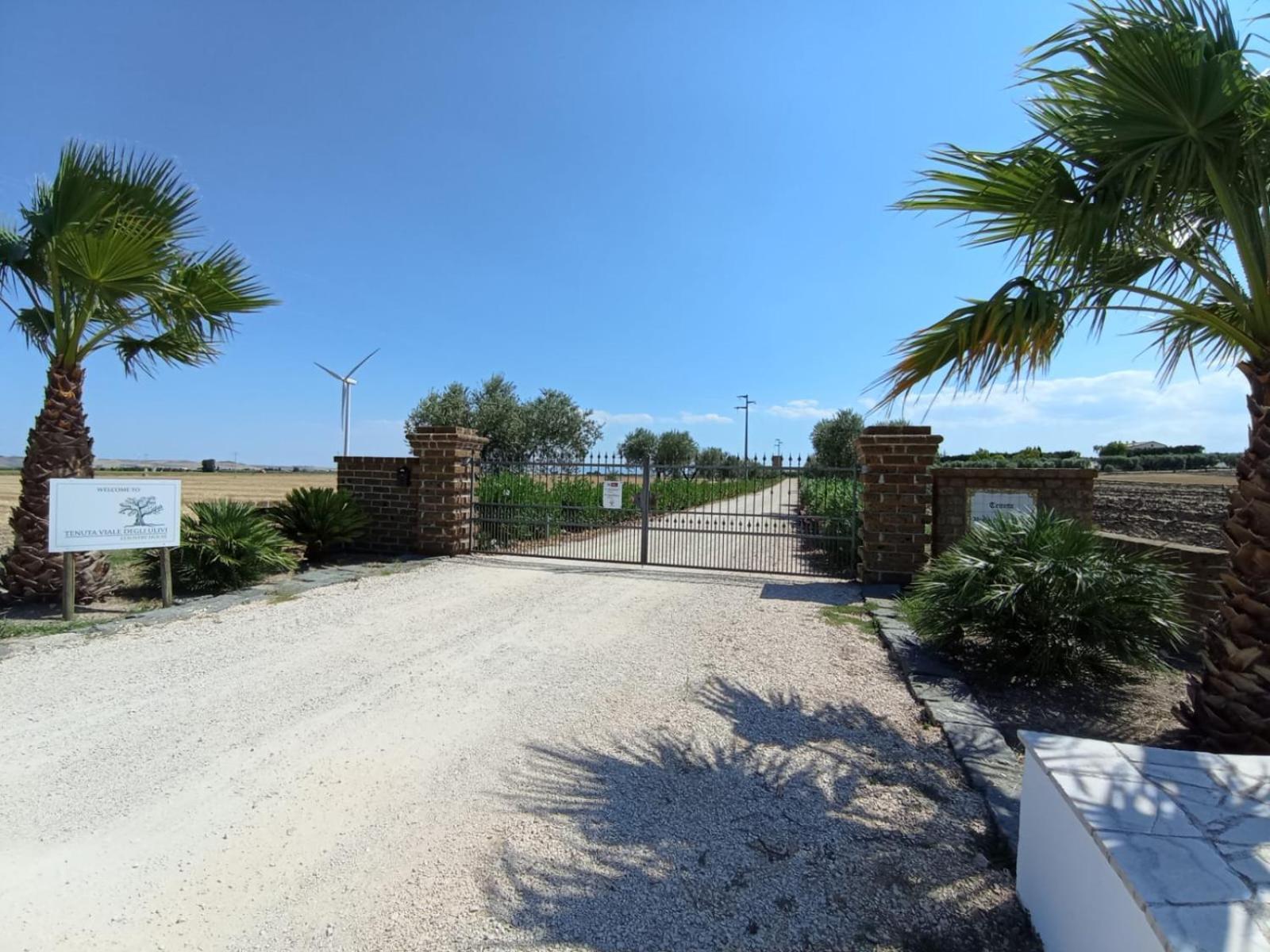 Tenuta Viale Degli Ulivi San Martino in Pensilis ภายนอก รูปภาพ