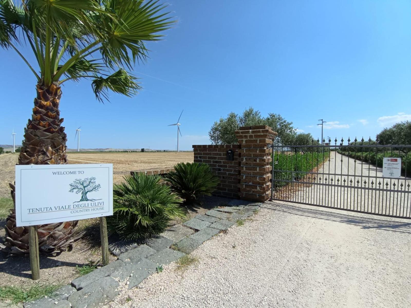 Tenuta Viale Degli Ulivi San Martino in Pensilis ภายนอก รูปภาพ