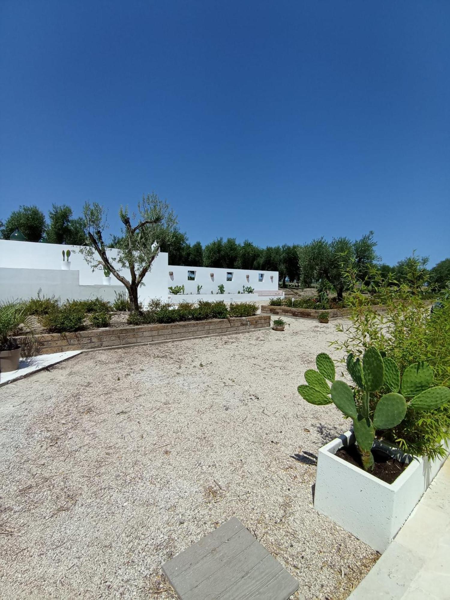 Tenuta Viale Degli Ulivi San Martino in Pensilis ภายนอก รูปภาพ