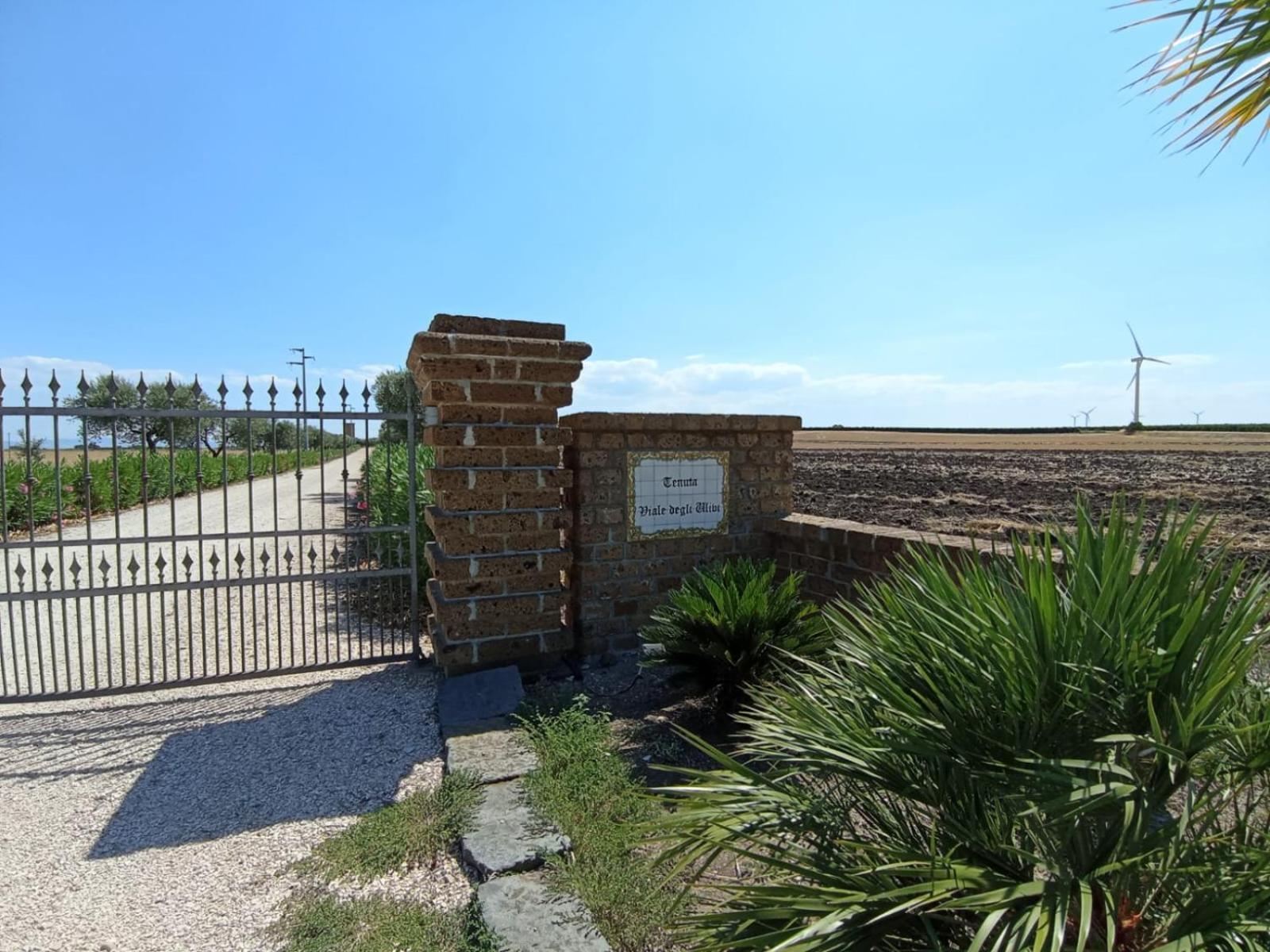 Tenuta Viale Degli Ulivi San Martino in Pensilis ภายนอก รูปภาพ