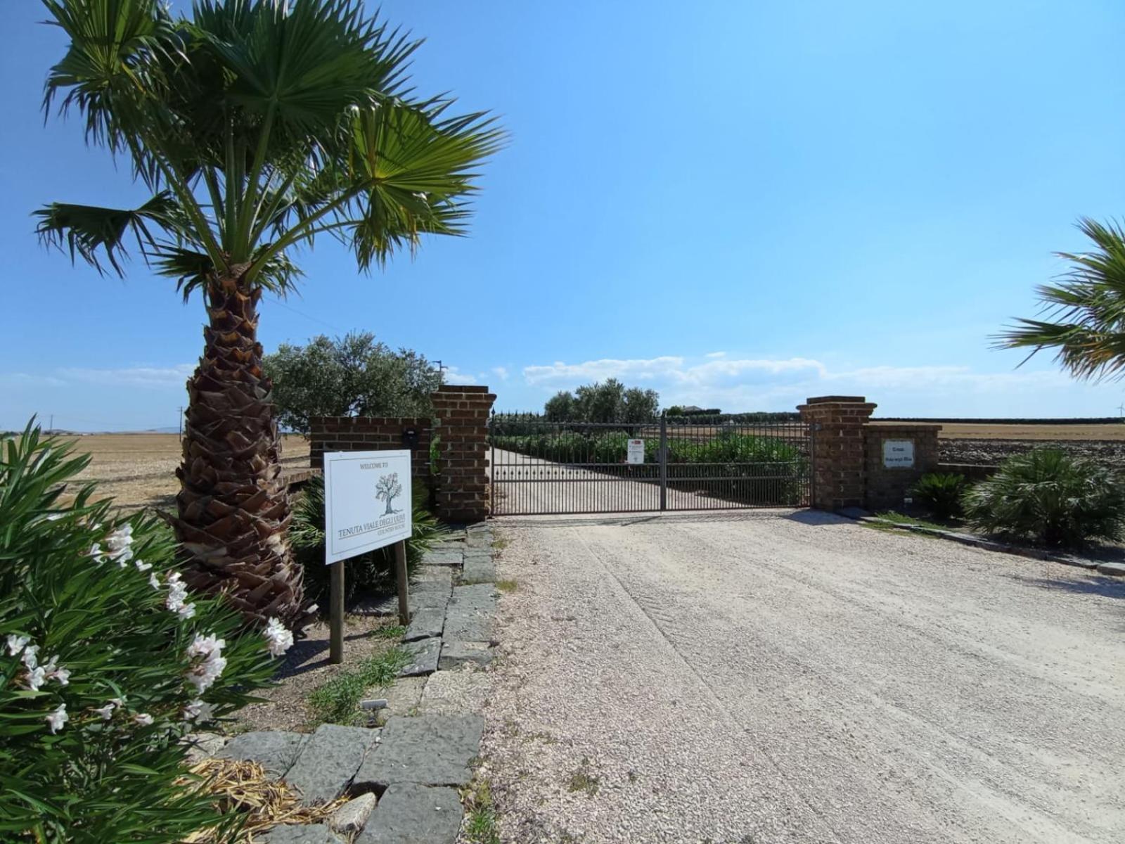 Tenuta Viale Degli Ulivi San Martino in Pensilis ภายนอก รูปภาพ