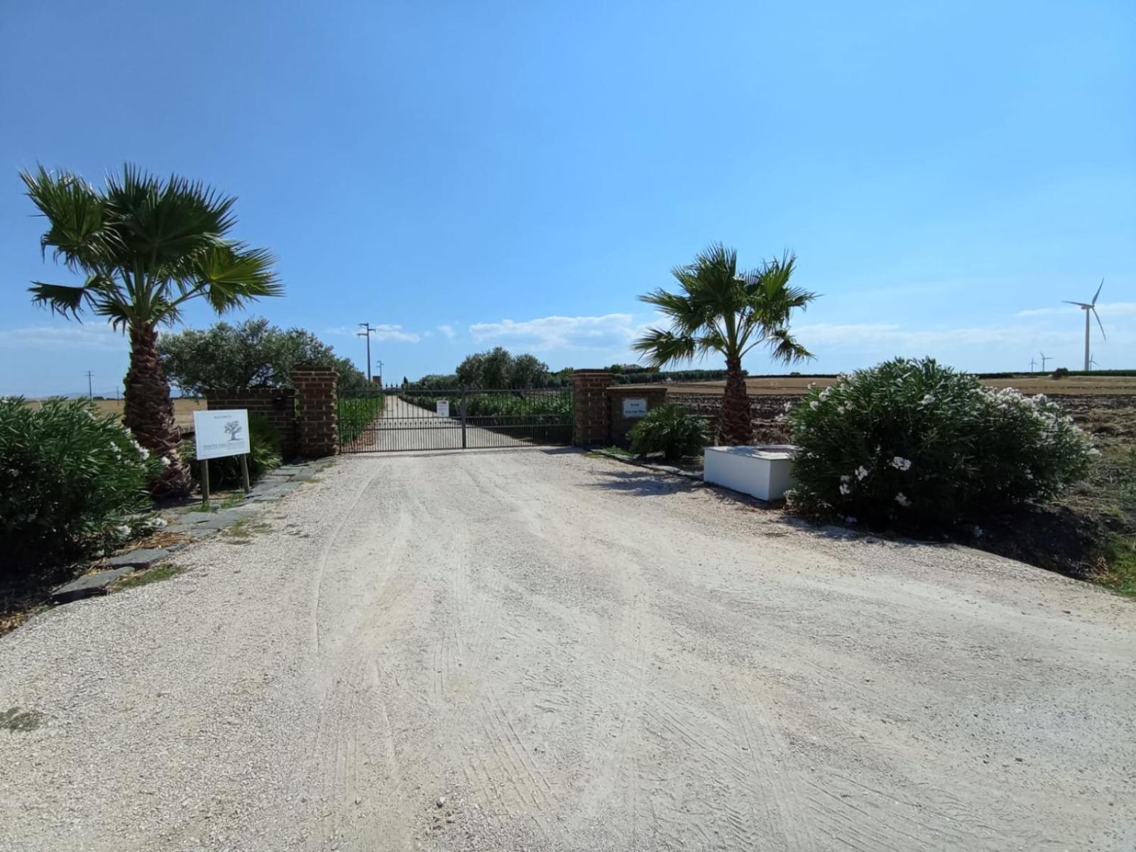 Tenuta Viale Degli Ulivi San Martino in Pensilis ภายนอก รูปภาพ